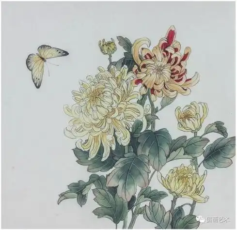 大雨花的画法解析国画教程菊花花头的