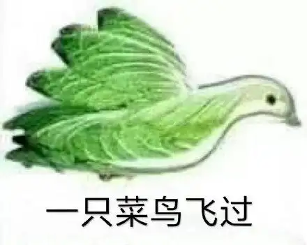 一只菜鸟飞过_菜鸟_飞过_一只表情