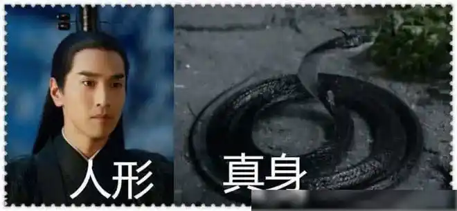 玄幻剧剧人物真身夜华有趣重楼霸气看到图4笑出猪叫声