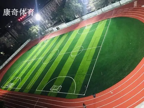 河池市第二高级中学足球场草坪塑胶跑道案例