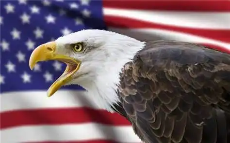 却少有人知道_丹顶鹤_鸟类_国家