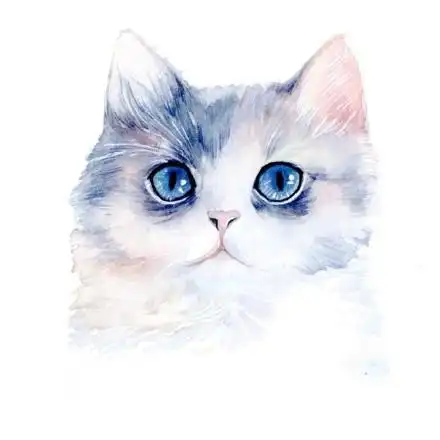 插画| 手绘猫咪插画