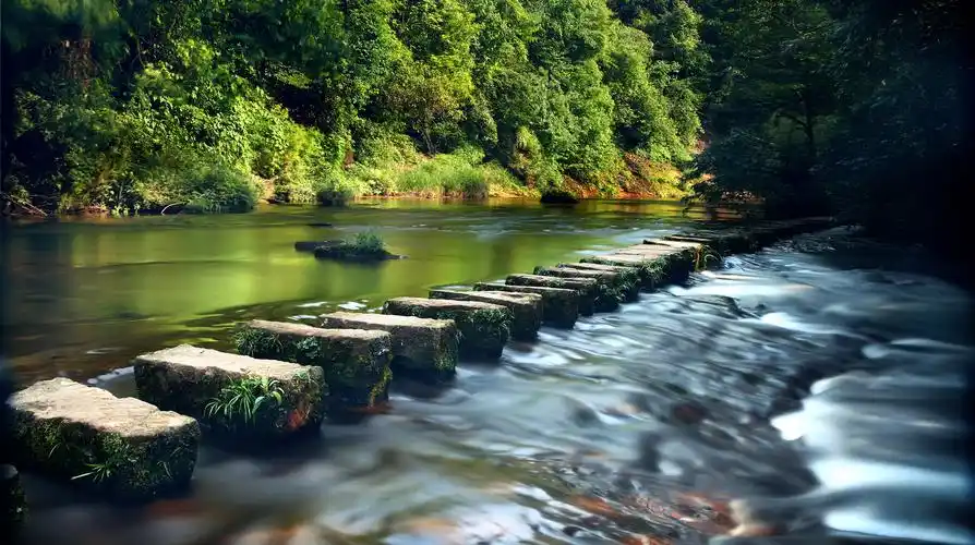 包含邛崃网站建设的词条