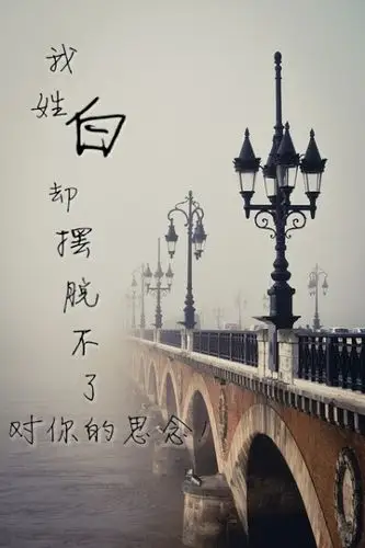 大概因为你喜欢夜晚,而我姓白