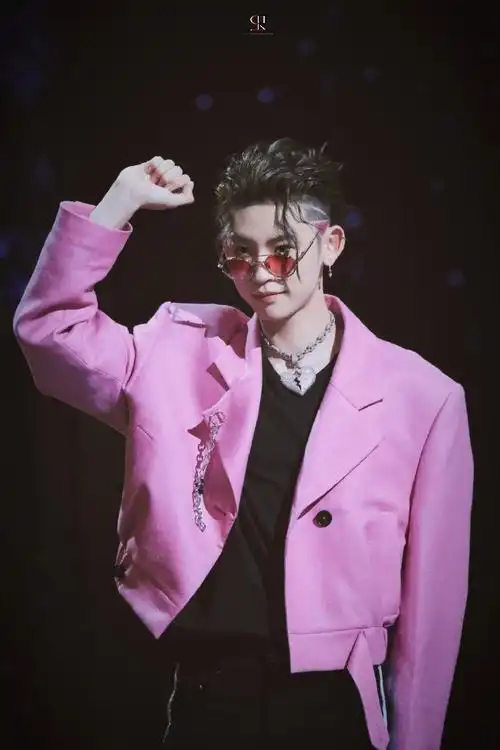 近日,小鬼王琳凯现身《跨次元新星》发布会现场,他身着粉色西装搭配