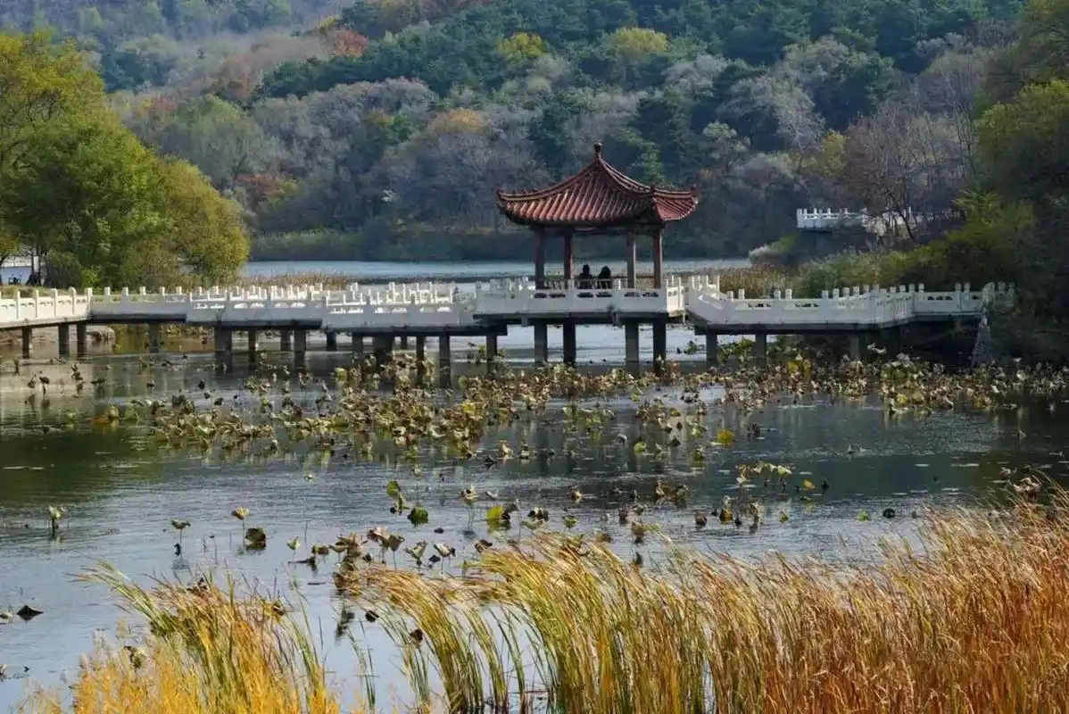 初冬时节,别样风景在辽阳~#振兴新突破辽宁杠杠滴# #网红打卡地辽宁