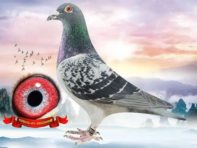 >> 查看拍卖商品