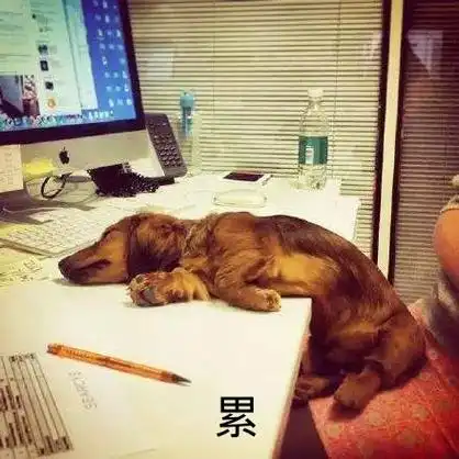 累成狗累成表情