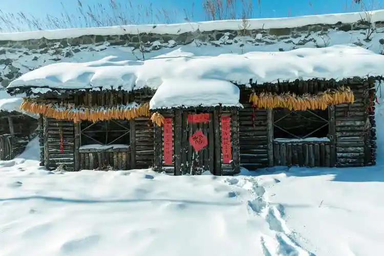 威虎山雪村---东北最原味的山村