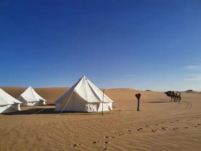 十一腾格里沙漠露营