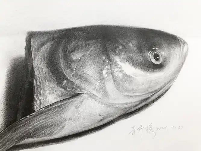 素描鱼头