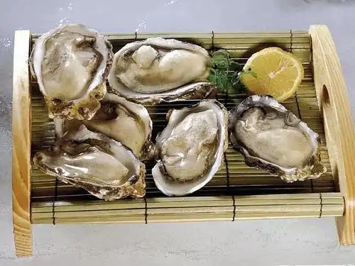 海参牡蛎价格高位运行淡水鱼价格稳中有降水产行情涨跌不一