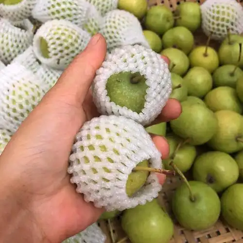 xj广西新鲜青皮山楂大果青皮山楂子生鲜水果可开发票25kg