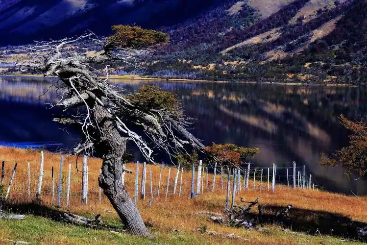 歪脖树 - 自然类-摄影大赛2016 - 国家地理中文网