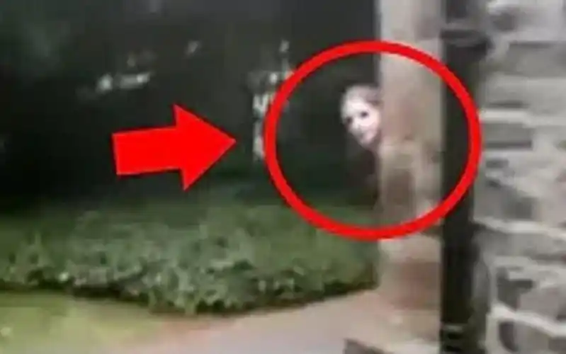 真正的鬼魂被摄像机拍到了5个可怕的鬼屋nukestop5