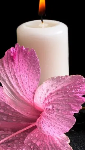 白色蜡烛,火光,木槿花,水滴 4k