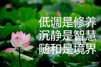 低调是修养沉静是智慧随和是境界