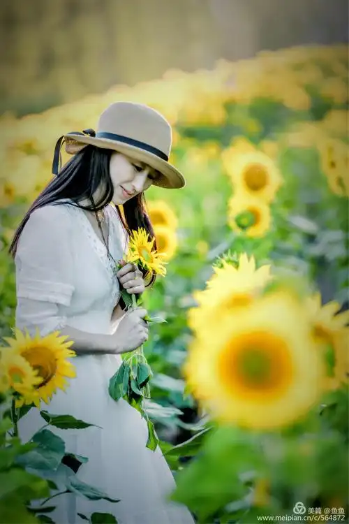 愿世间的美好都恰逢其时 - 美篇