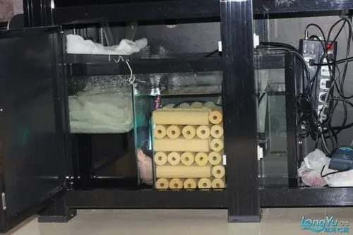 这是底滤情况,第一格白棉下面是生化棉.第三格是水泵.