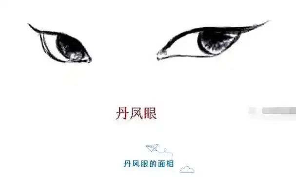 杨柳木命有丹凤眼面相如何丹凤眼面相详解男生丹凤眼面相