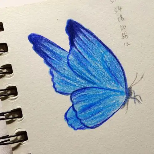 彩铅蝴蝶03含教程