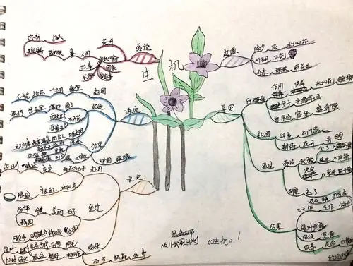 吴婷娜思维导图武林计划no.11《生机》