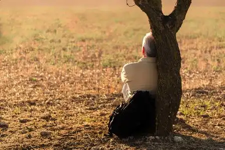 秋季公园树下的靠椅摄影图片