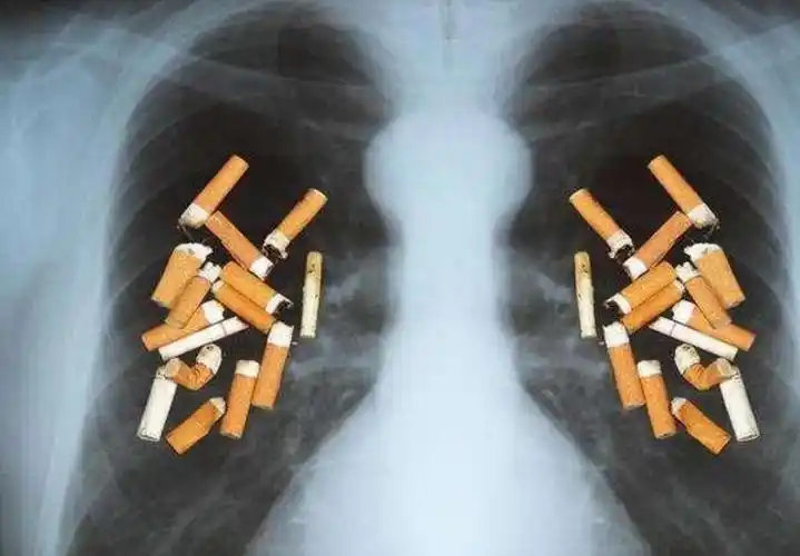 在众多的危害当中,吸烟对人体肺部的危害,也是最为典型的一种.