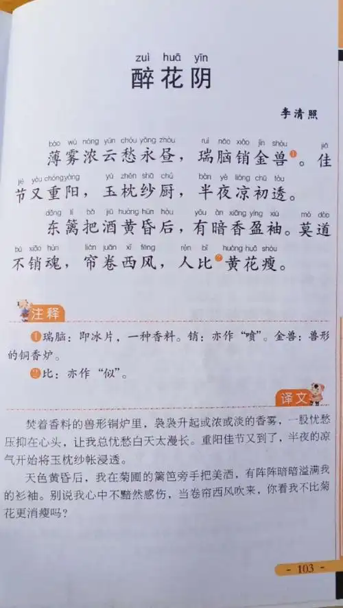 今天读了李清照的《醉花阴》和《声声慢》