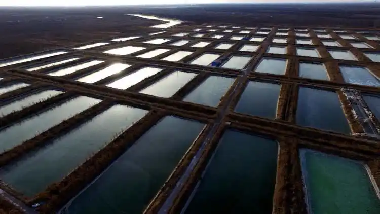 大自然的鬼斧神工,虾池冬日美景不容错过