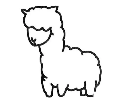 4款羊驼简笔画图片大全羊驼的简单画法
