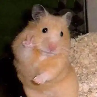 一组混搭表情包头像