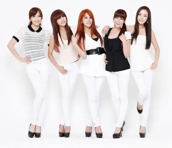 data-lemmaid="7548338">dsp公司 /a>于2007年推出的女子流行演唱组合