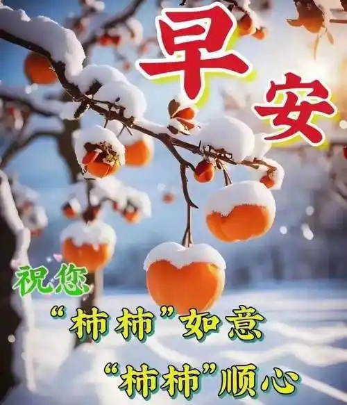 11月25日周六早上好,最新版冬日早安温馨祝福图片带字问候语录_心情