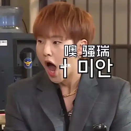 svt表情包权顺荣2