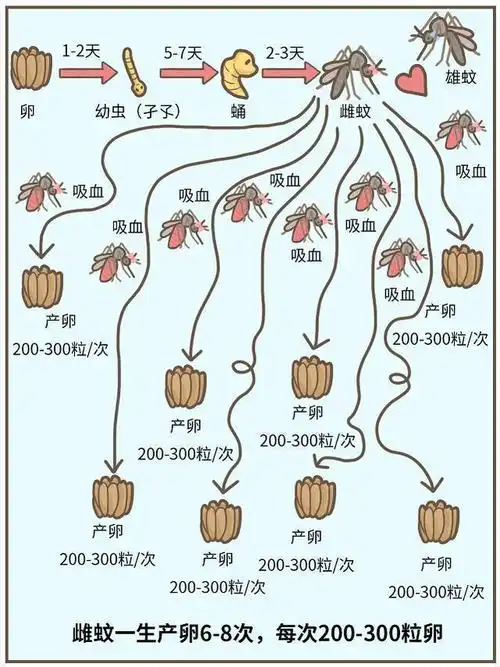 九成人不知道蚊子最大天敌是啥教你1个土招整夜开窗也不怕