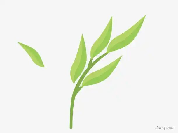 绿叶叶子卡通矢量