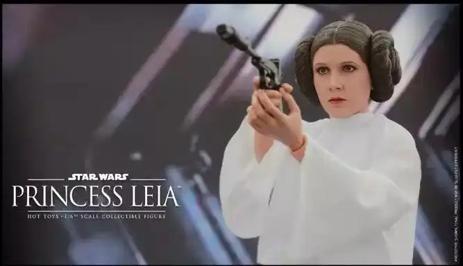 莱娅是安纳金·天行者与其妻子帕米·艾米达拉的女儿,后来被义军同盟