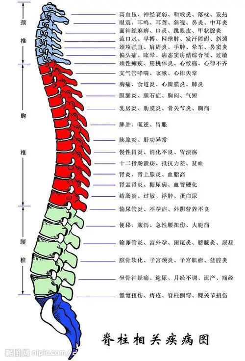 采纳数:63获赞数:368lv6 擅长:保健养生  展开全部 肯定是脊椎节错位