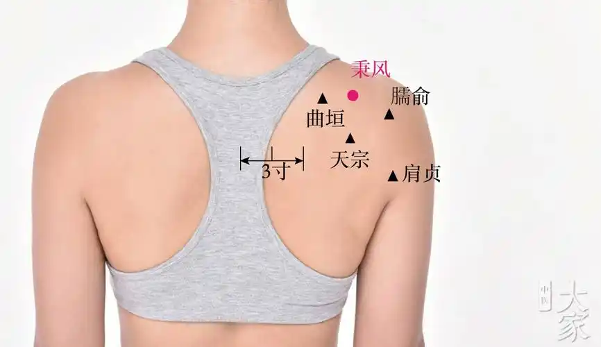 玉衡刮痧公益课之六肩胛部位腋下及肝脾区刮法