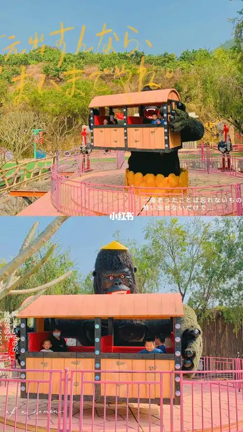 厦门周边同安游锦仔山生态旅游区