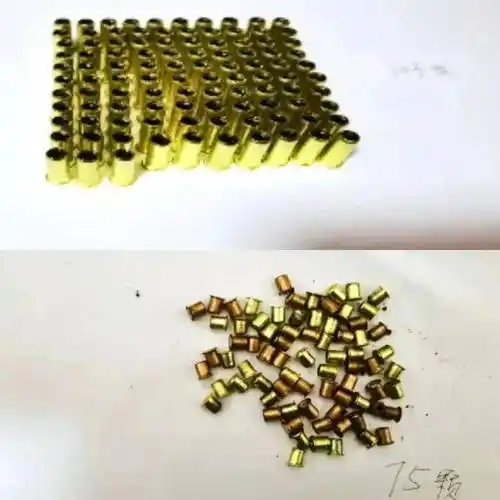 儿子非法狩猎被抓妈妈发动家人帮忙藏匿猎枪统统追刑