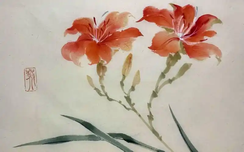 国画萱草花中国的母亲花写意花卉