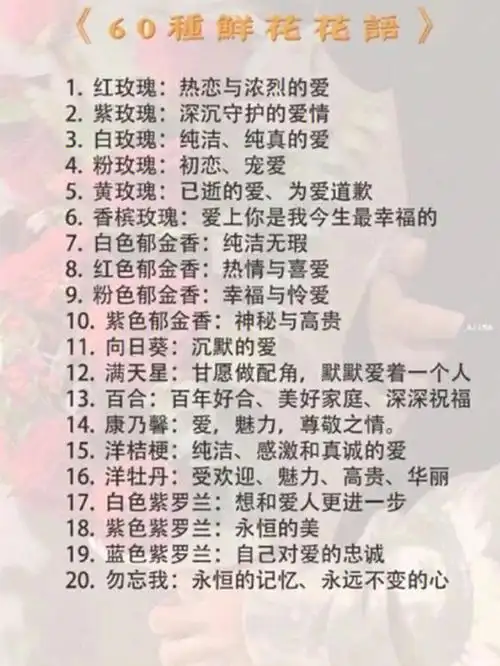 60种鲜花花语