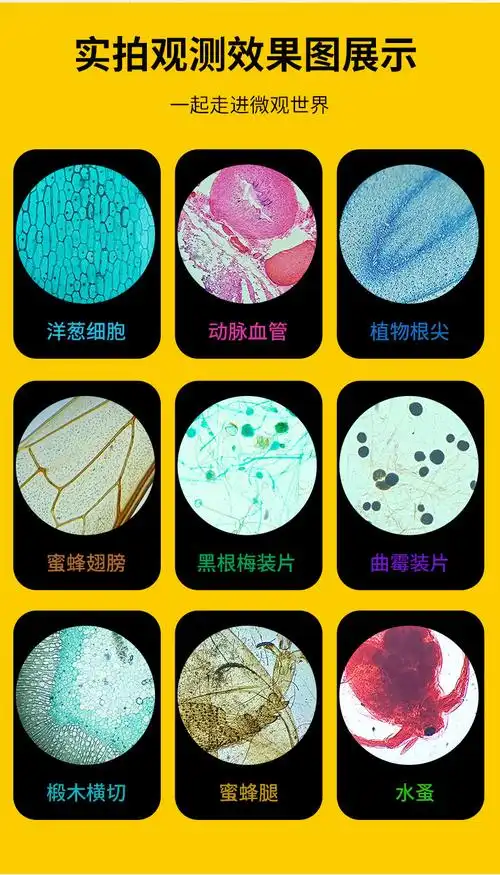 倍家用高倍专业生物看细菌微生物小学生专用6000倍20片标本135种实验