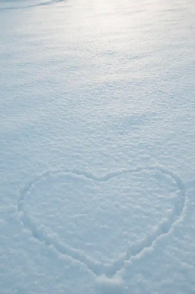 爱在雪地里的心,用刚刚落下来的雪画成的心形