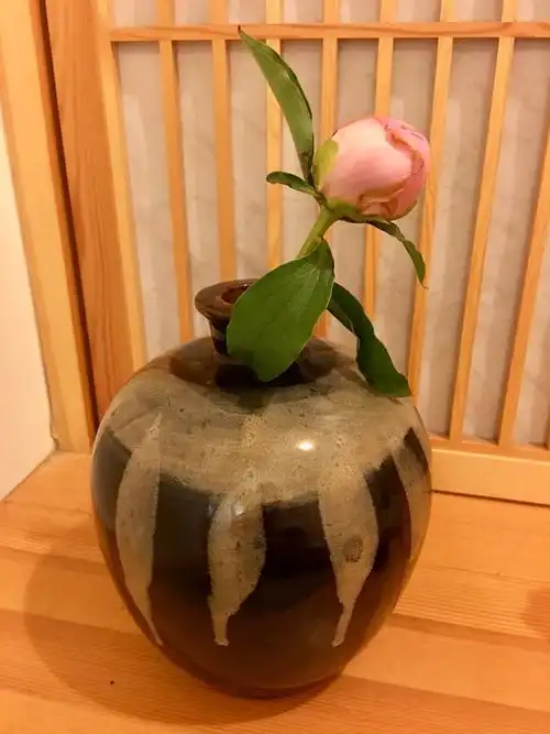 嘿嘿!酒坛子酒坛子,放哪种花也搭不上调.