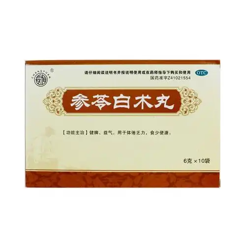 金鸿堂 参苓白术丸6g*10袋 健脾,益气.