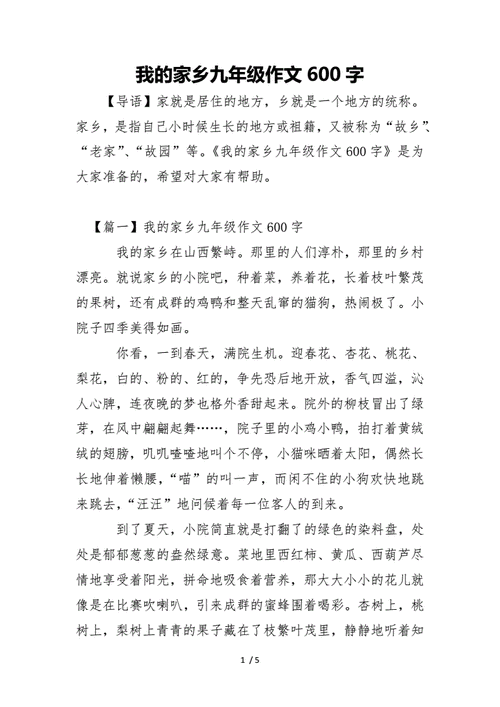 我的家乡九年级作文600字docx5页