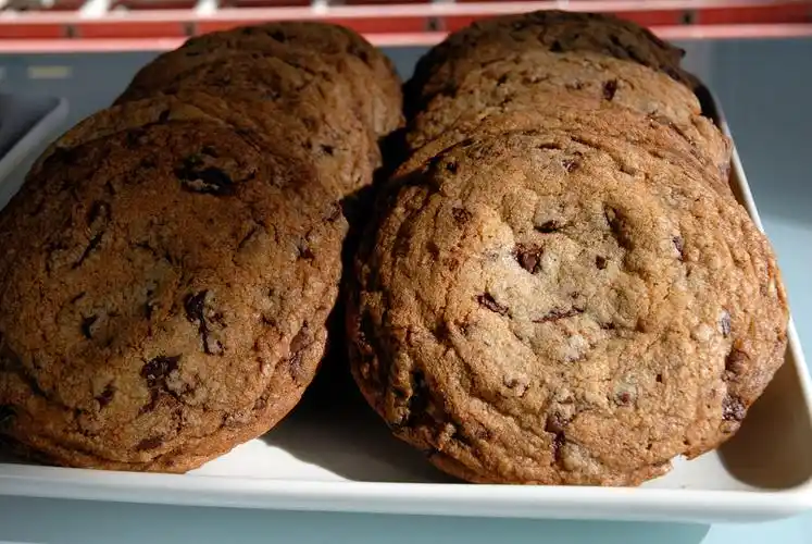 chocolate chip cookie
